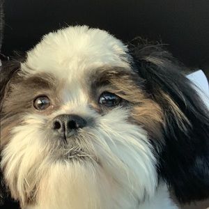 Meet your Posher, Kellie